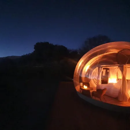 La Bulle